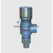 Spring Loaded Low Lift Threaded Safety Valve DN15 Pn16